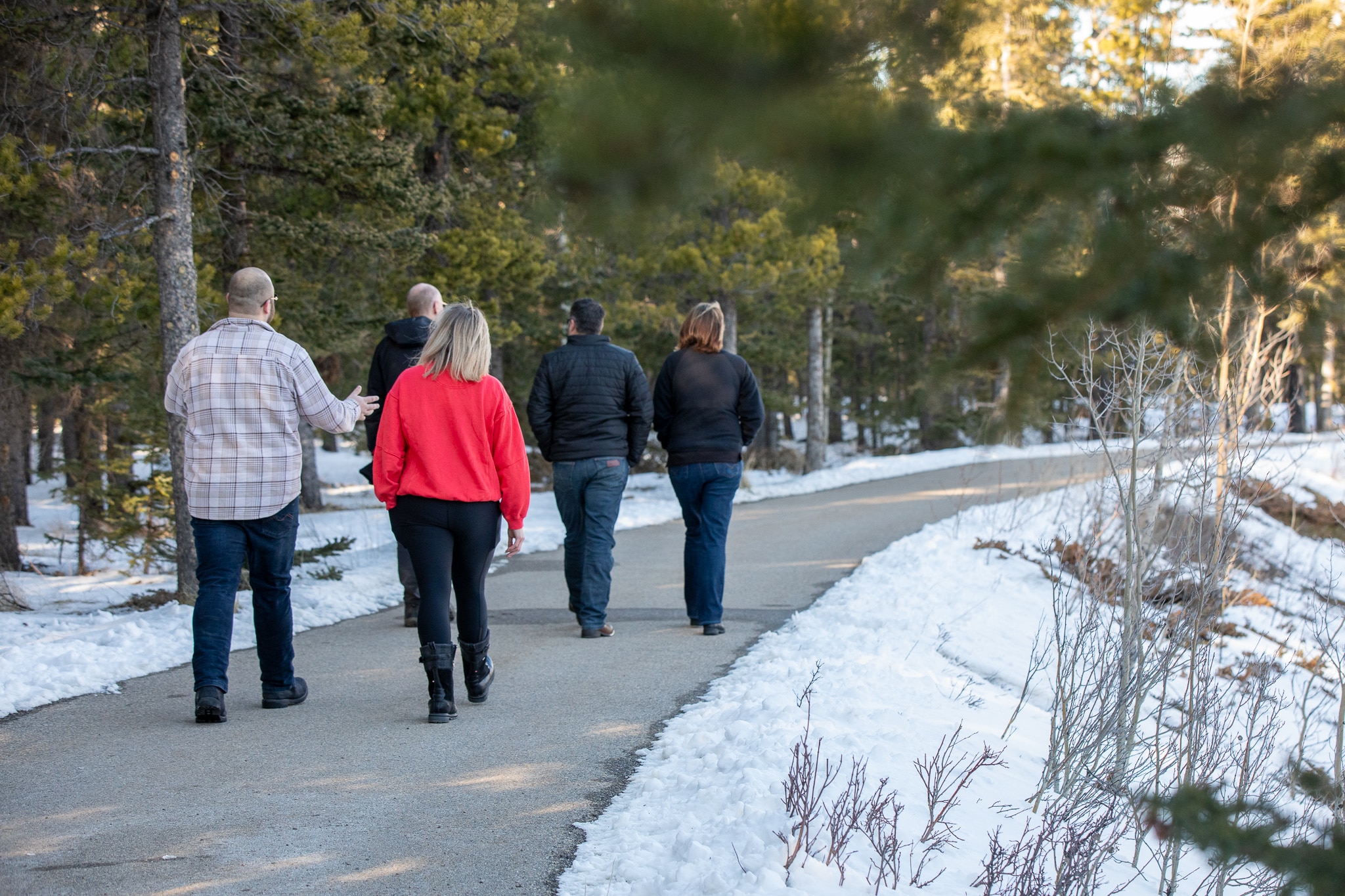 Group walking along snowy path through pine trees in Kananaskis
